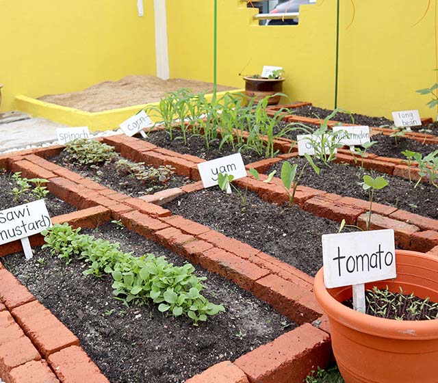 Garden area