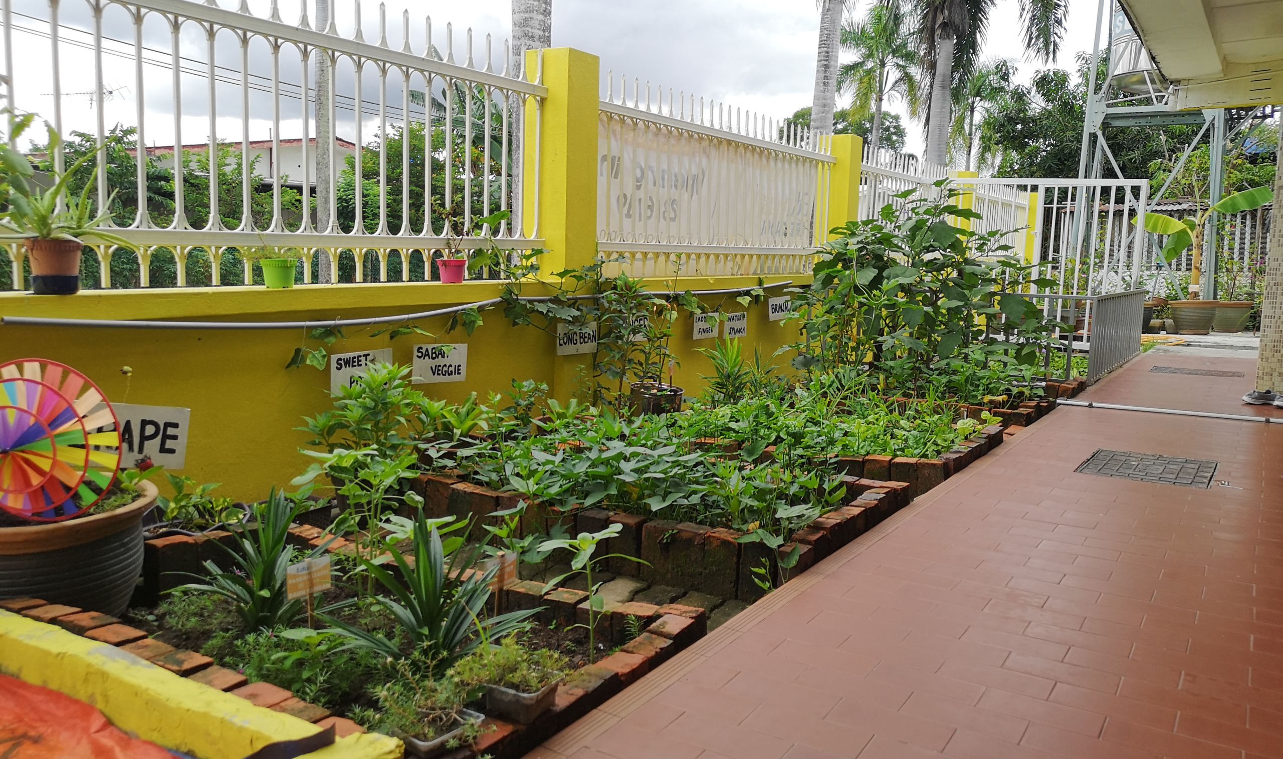 Garden environment at Eduwis best preschool in Kota Kinabalu.